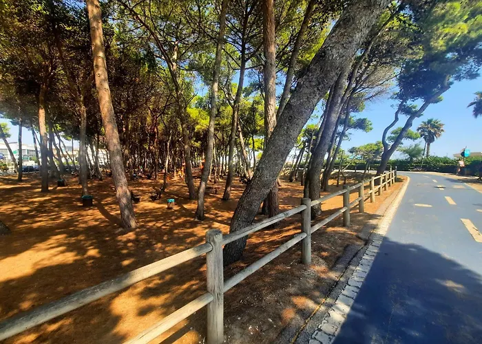 Il Timone 1 Piano - Myho Casa דירה *